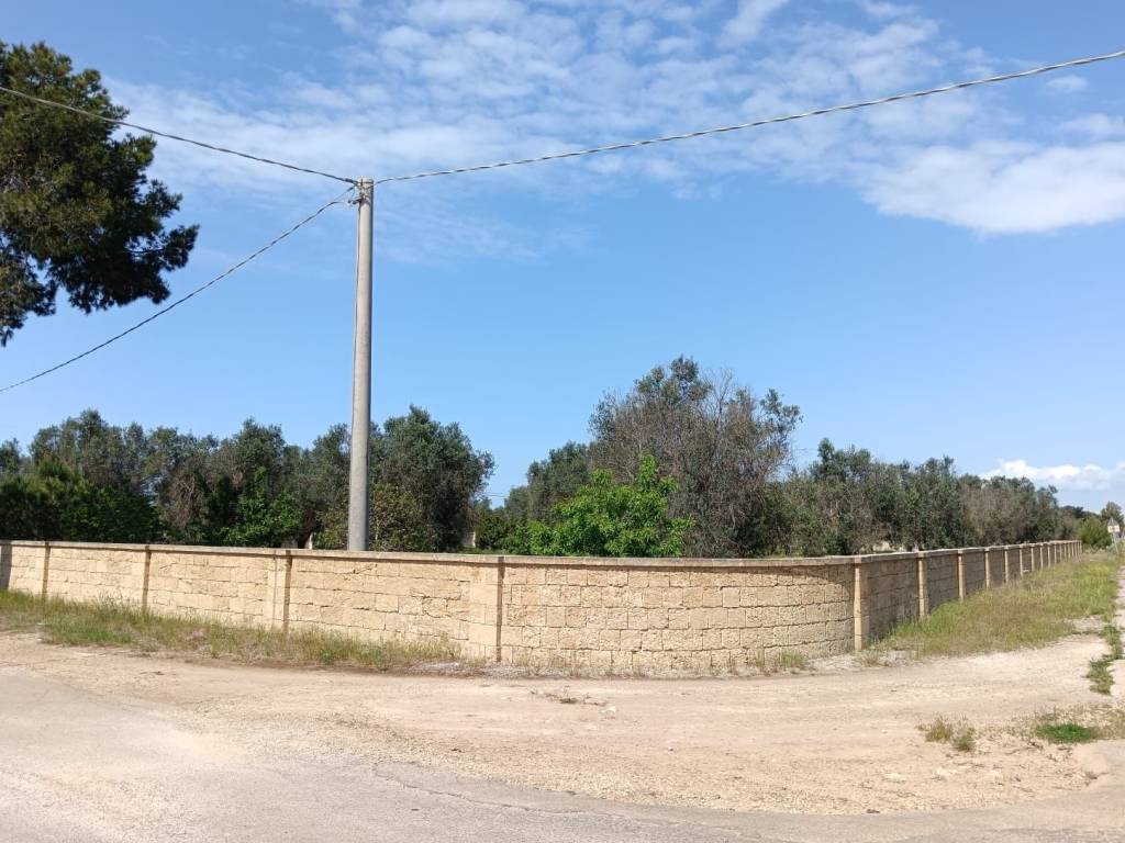 Terreno a Nardò in Strada Torre Termite - Foto 5