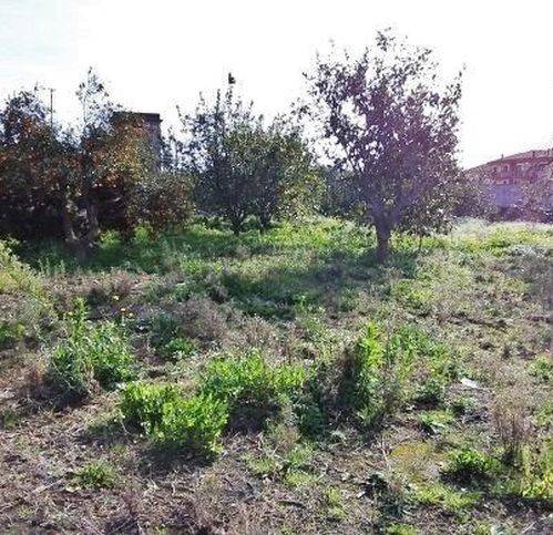 Terreno a Mascali in Via Pietralonga - Foto 2