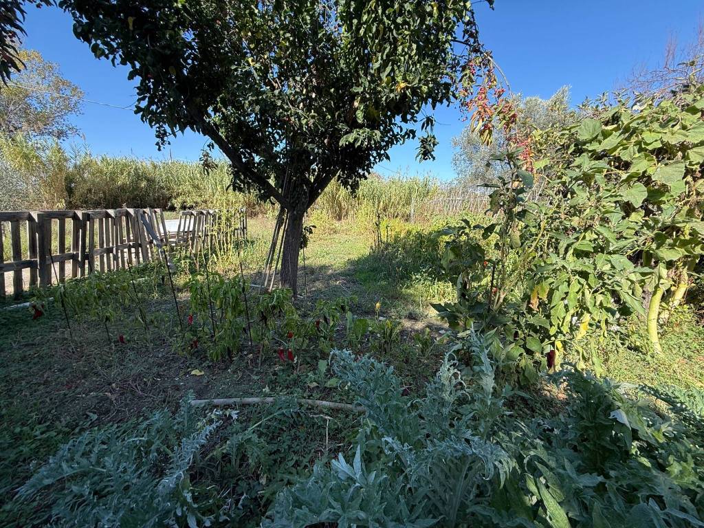 Casa indipendente a Controguerra in Contrada Piane Tronto - Foto 3