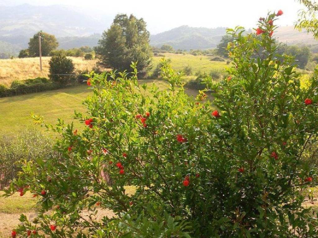 Rustico / casale a Vicchio - Foto 3