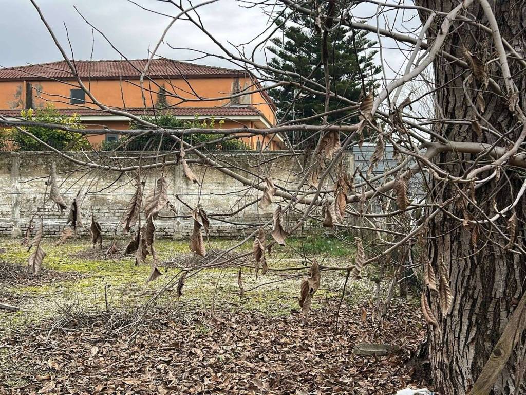 Terreno a Marcianise in via modena - Foto 5
