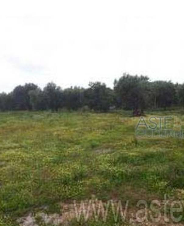 Villa a Monopoli in Contrada Macchia di Monte, 267 - Foto 3