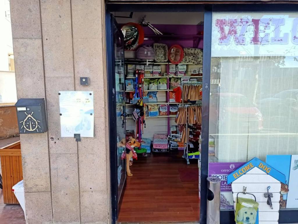 Immobile a Civitavecchia in Viale Guido Baccelli, 178 A - Foto 3