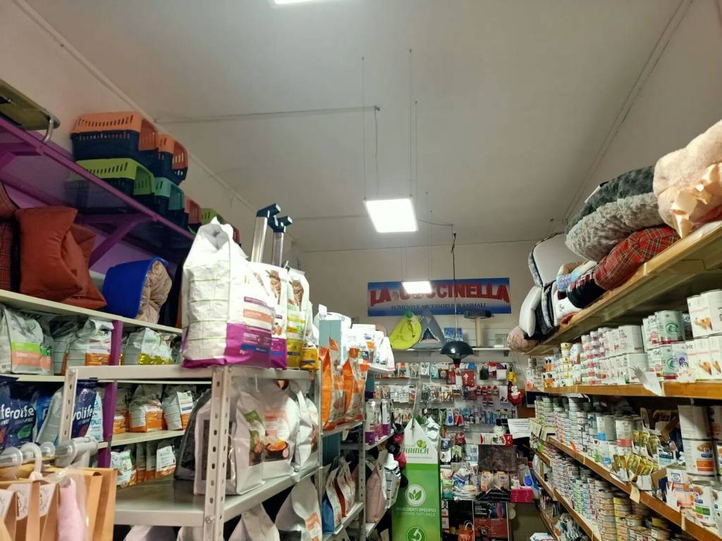 Immobile a Civitavecchia in Viale Guido Baccelli, 178 A - Foto 5