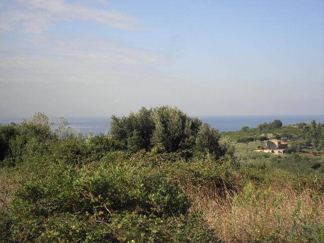 Terreno a Rosignano marittimo in via Serragrande - Foto 3