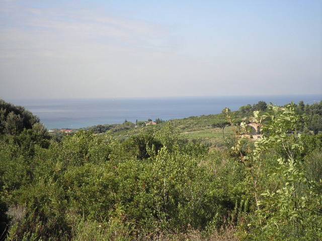 Terreno a Rosignano marittimo in via Serragrande - Foto 4