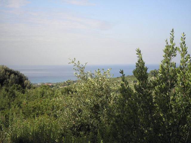 Terreno a Rosignano marittimo in via Serragrande - Foto 5