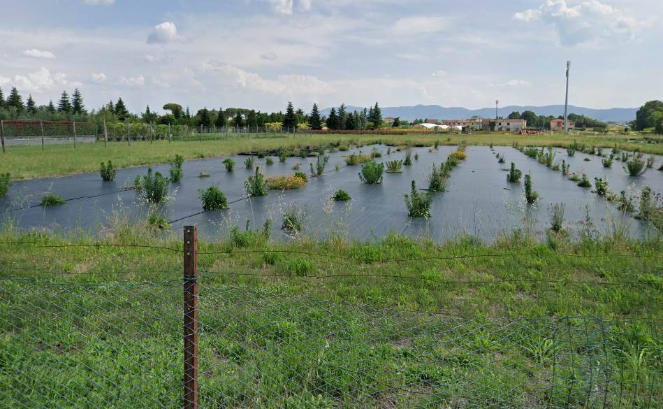 Terreno a Pistoia - Foto 4