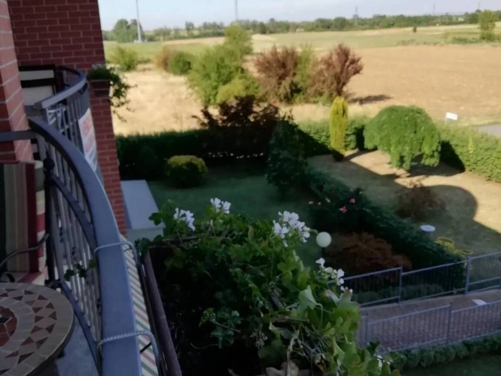 Appartamento a Basaluzzo in Via Novi No Number - Foto 4