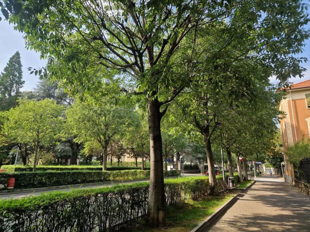 Immobile a Ovada in Corso Della Libertà, 9 - Foto 4