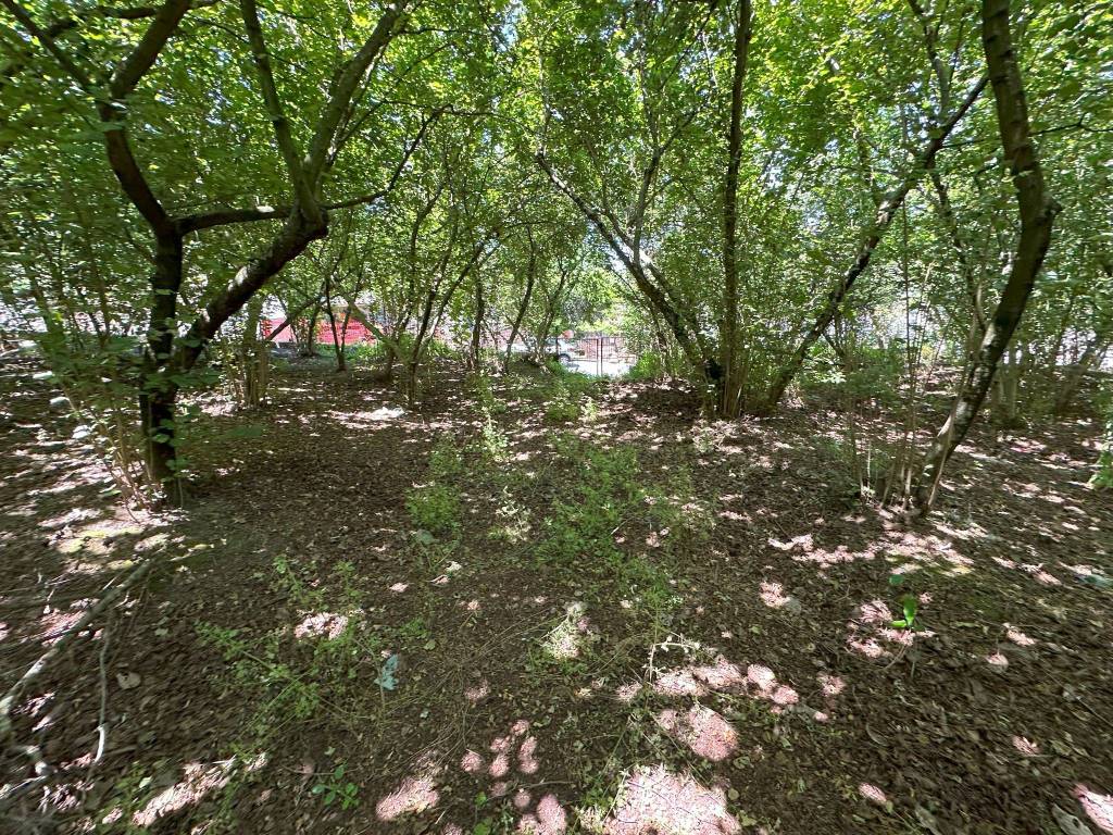 Terreno a Domicella in Via Casa Rega - Foto 3