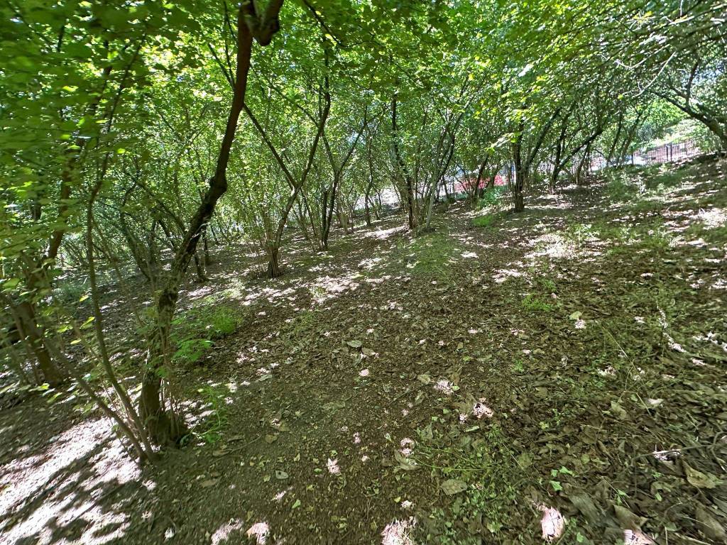 Terreno a Domicella in Via Casa Rega - Foto 4