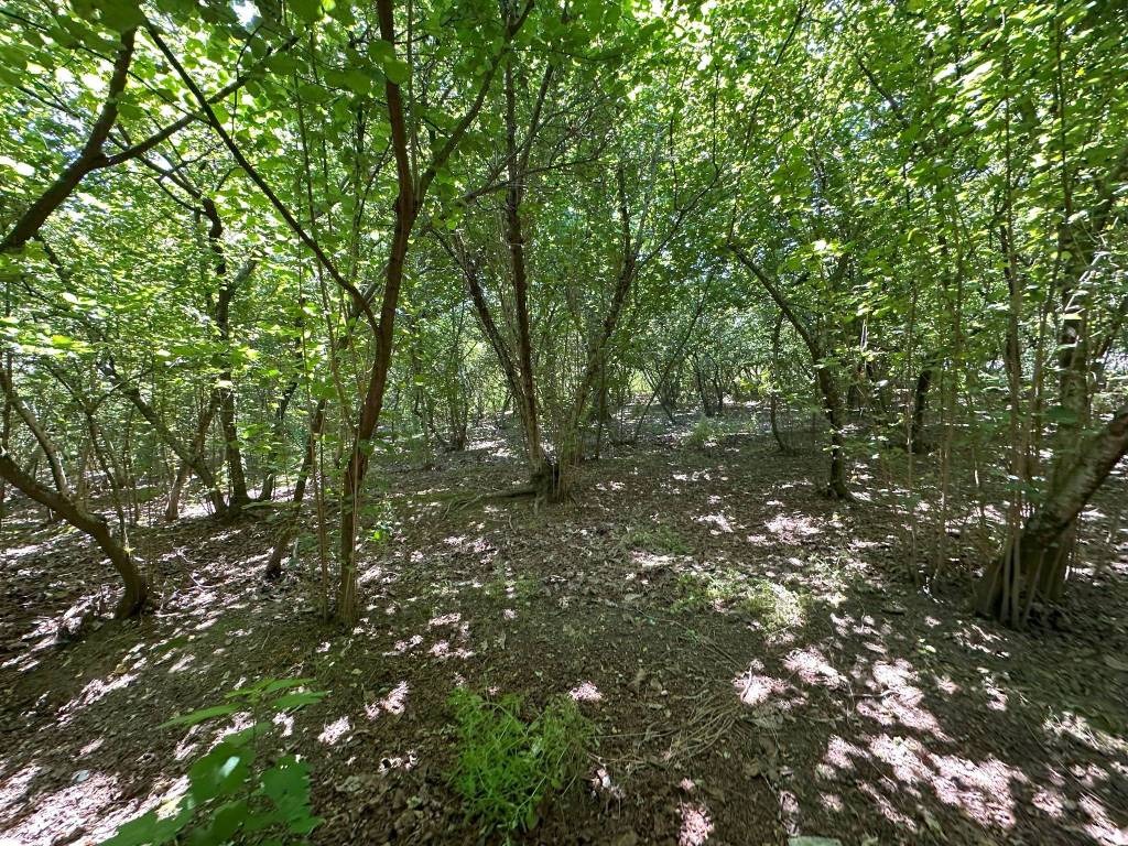 Terreno a Domicella in Via Casa Rega - Foto 5