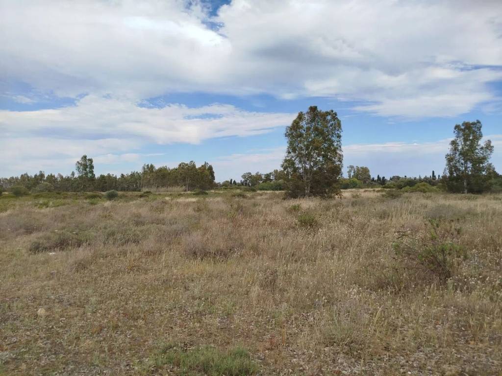 Terreno a Uta - Foto 4