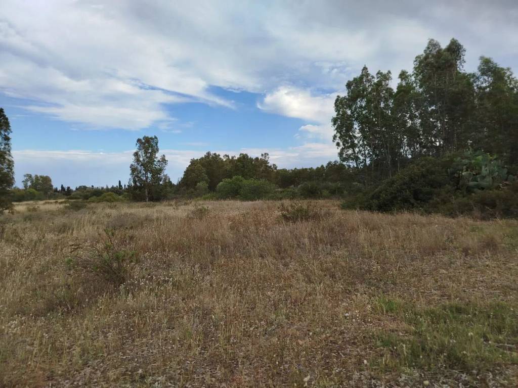 Terreno a Uta - Foto 5