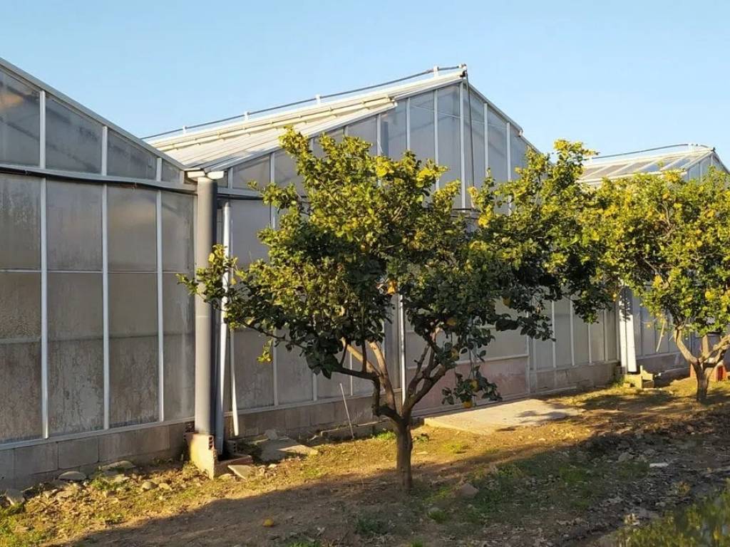 Terreno a Decimomannu - Foto 2