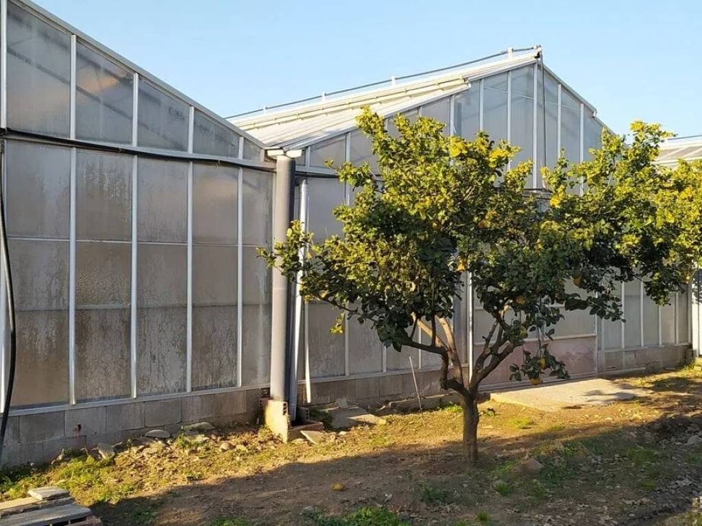 Terreno a Decimomannu - Foto 3