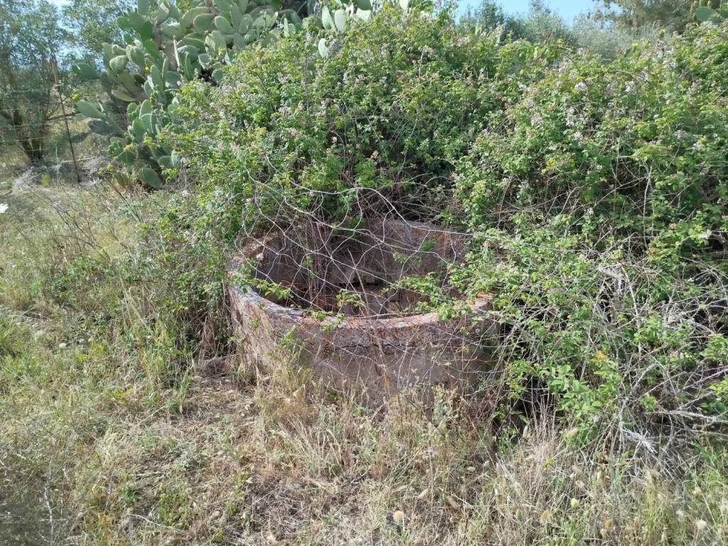 Terreno a Uta in Via Sant'Ambrogio No Number - Foto 5