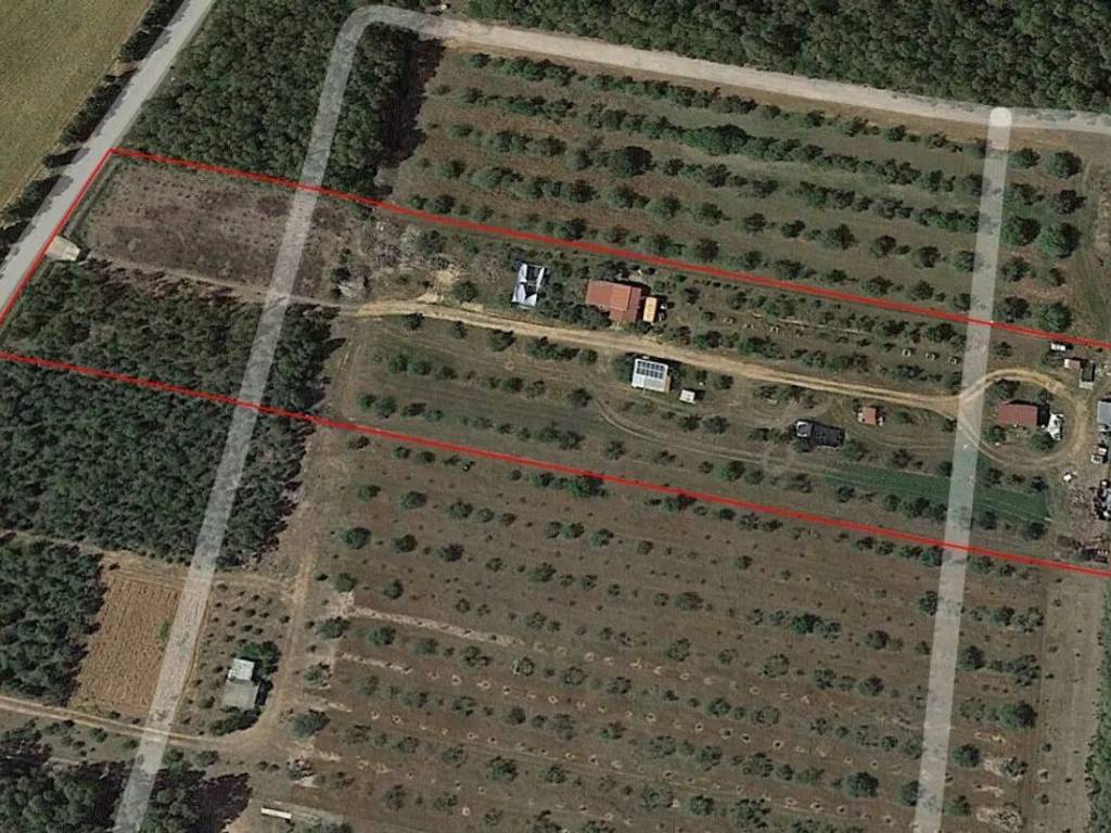 Terreno a Uta - Foto 5