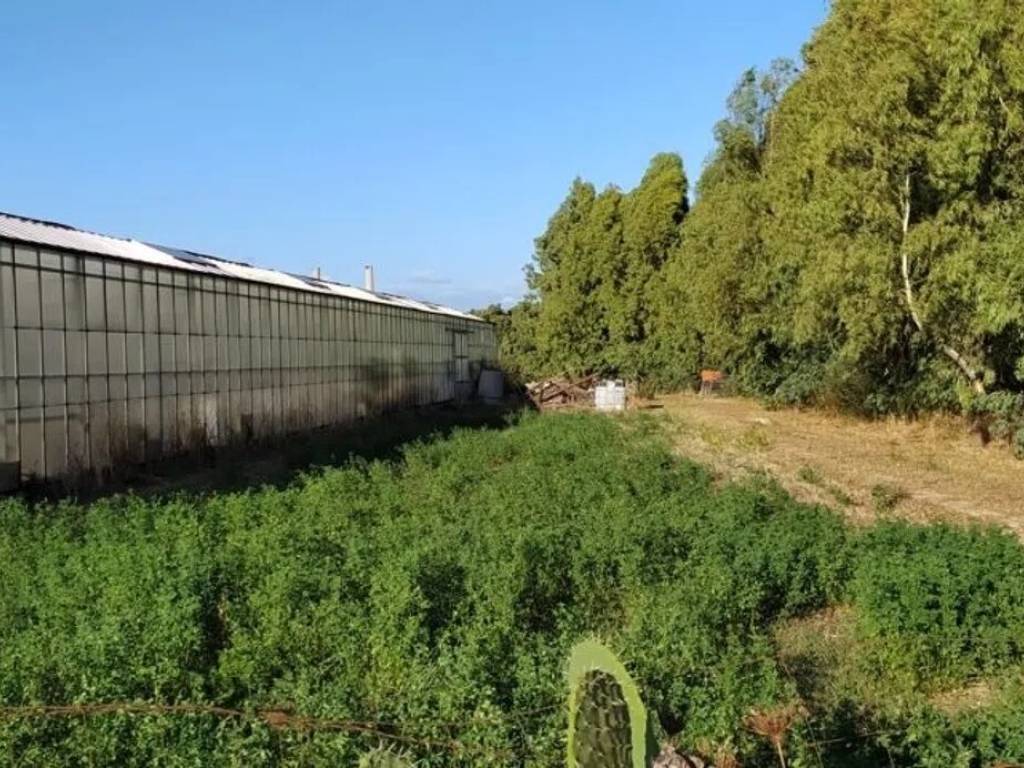 Terreno a Decimoputzu - Foto 4