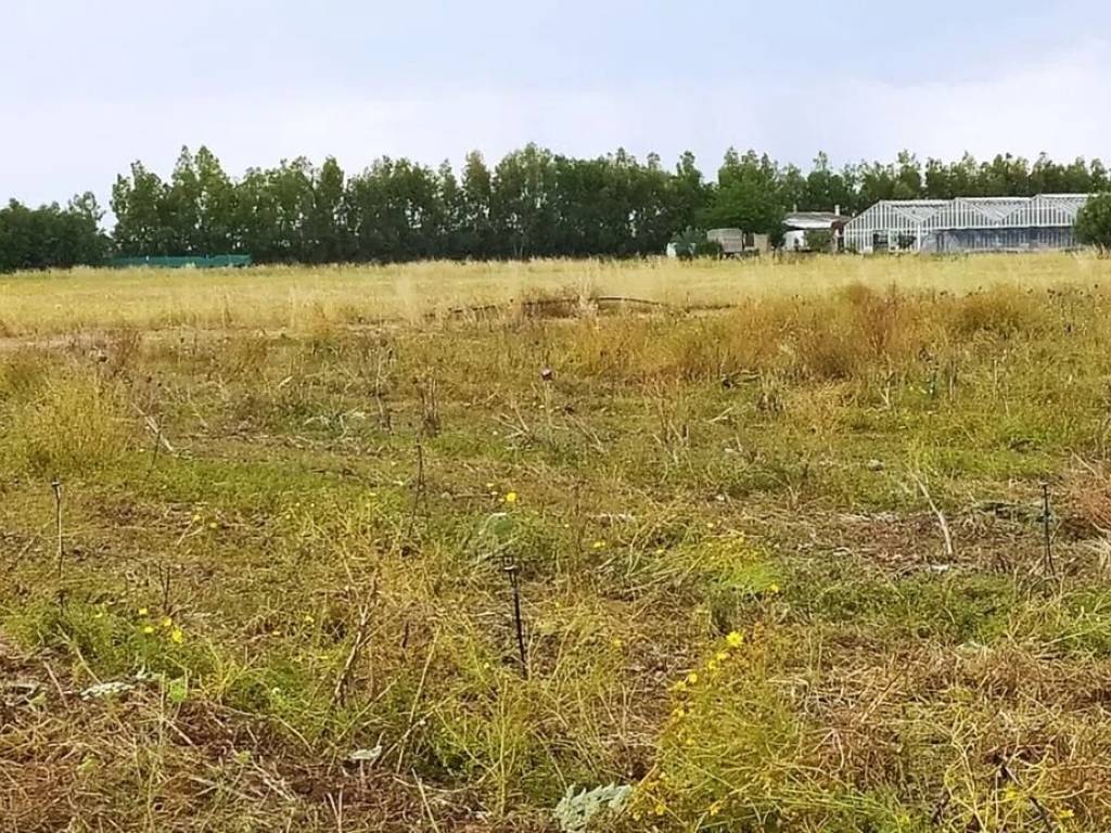 Terreno a Decimomannu in Località Zippeddu No Number - Foto 5