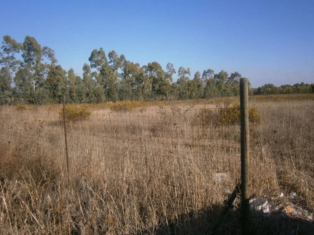 Terreno a Uta in Strada Provinciale 2 S.N.C. - Foto 2