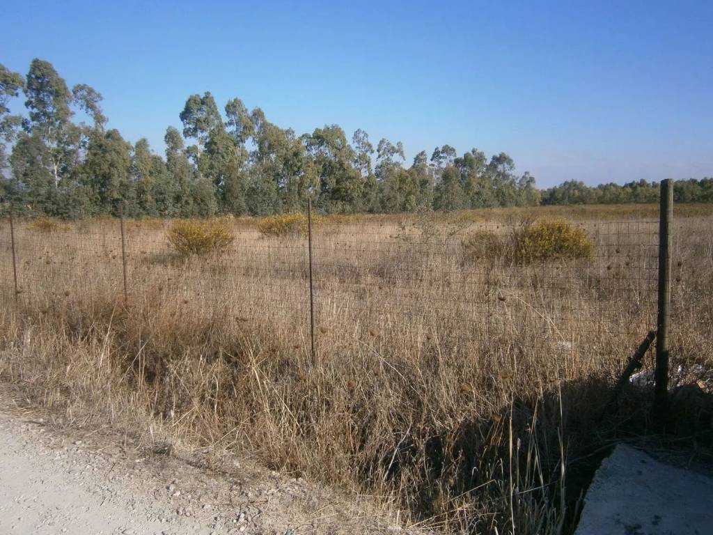 Terreno a Uta in Strada Provinciale 2 S.N.C. - Foto 3