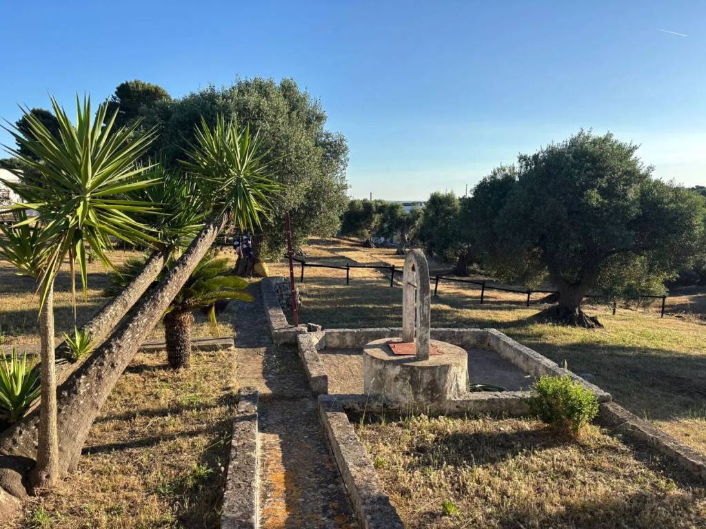 Villa a Ostuni in Contrada Badessa - Foto 5