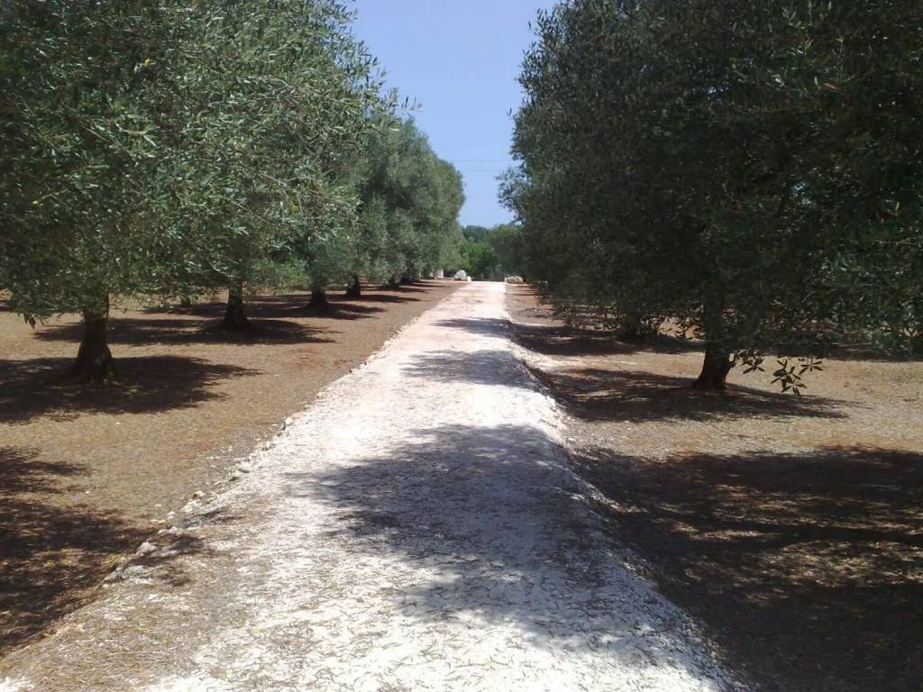 Villa a Ostuni in Contrada Giovannarolla - Foto 4