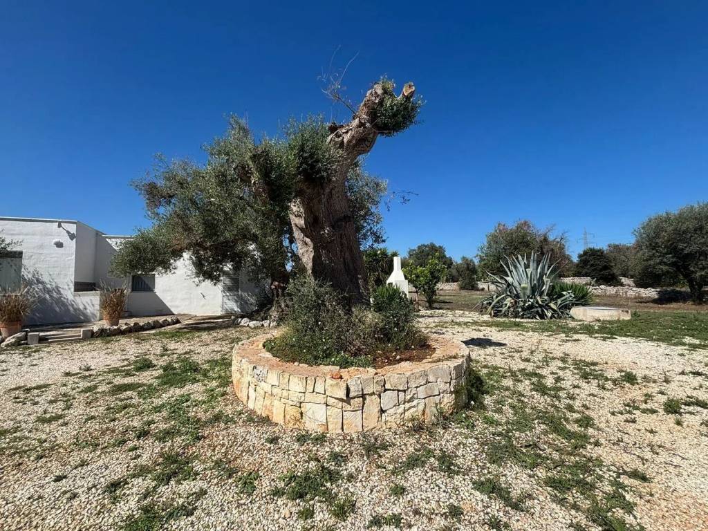 Villa a Carovigno in Via Serranova - Foto 4