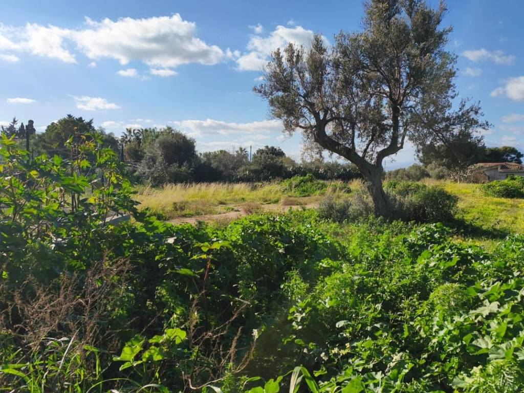 Terreno a Terrasini in Via Autonomia siciliana - Foto 2