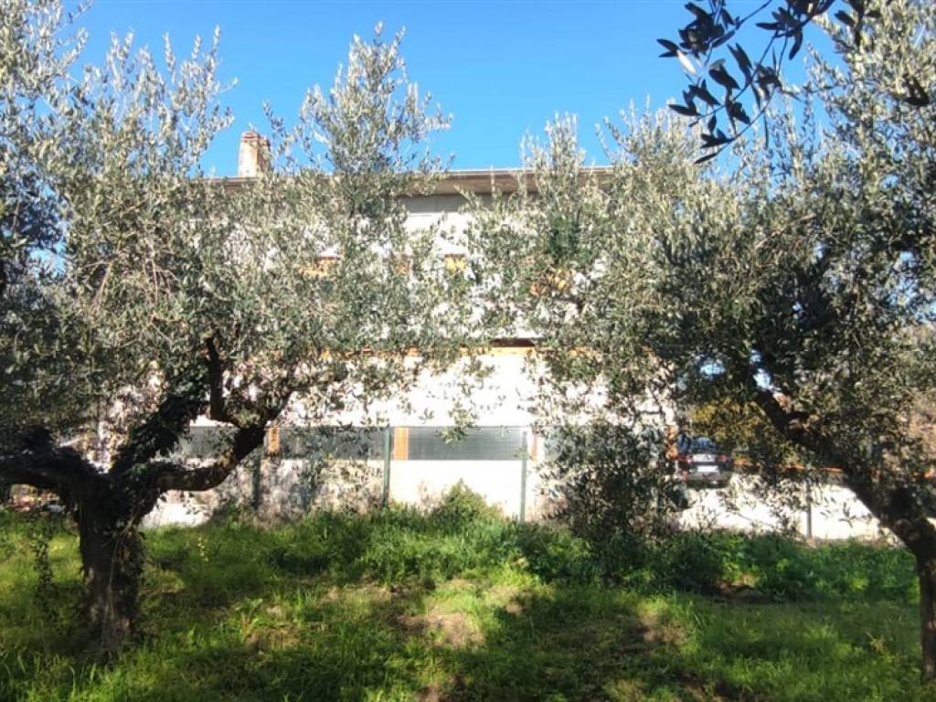 Immobile a Casalbordino - Foto 2