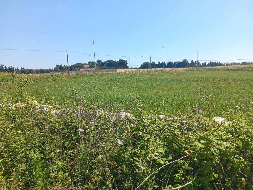 Terreno a Lecce in Strada Provinciale Lecce San Cataldo No Number - Foto 3