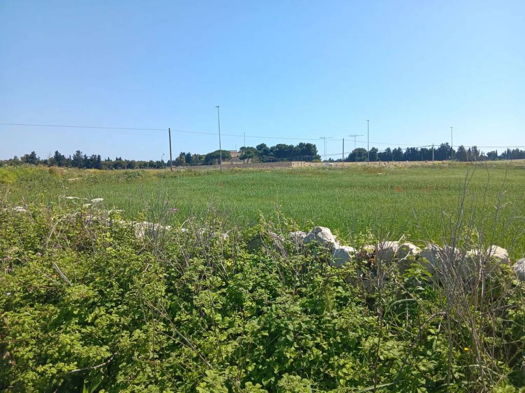 Terreno a Lecce in Strada Provinciale Lecce San Cataldo No Number - Foto 4