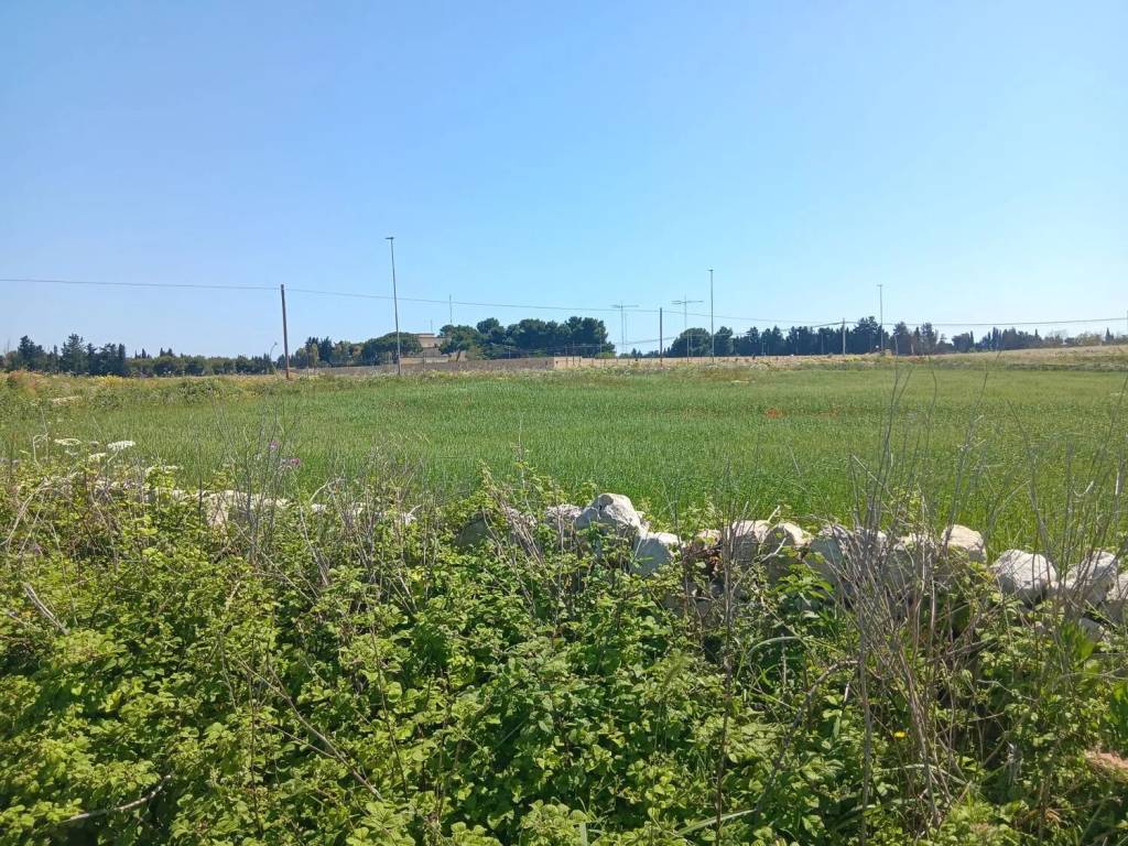 Terreno a Lecce in Strada Provinciale Lecce San Cataldo No Number - Foto 5
