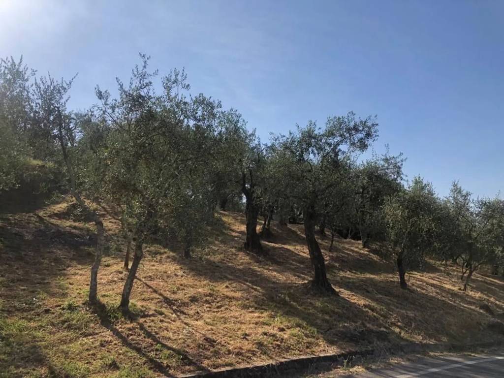 Terreno a Uzzano in Via Delle Pille No Number - Foto 3