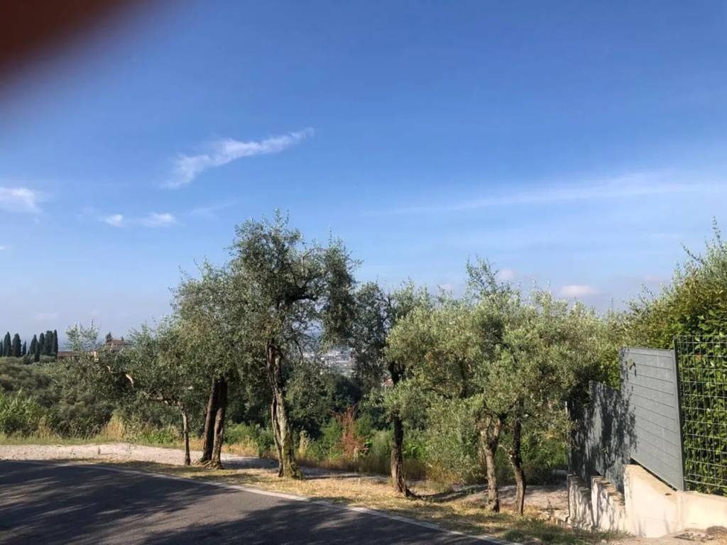 Terreno a Uzzano in Via Delle Pille No Number - Foto 4