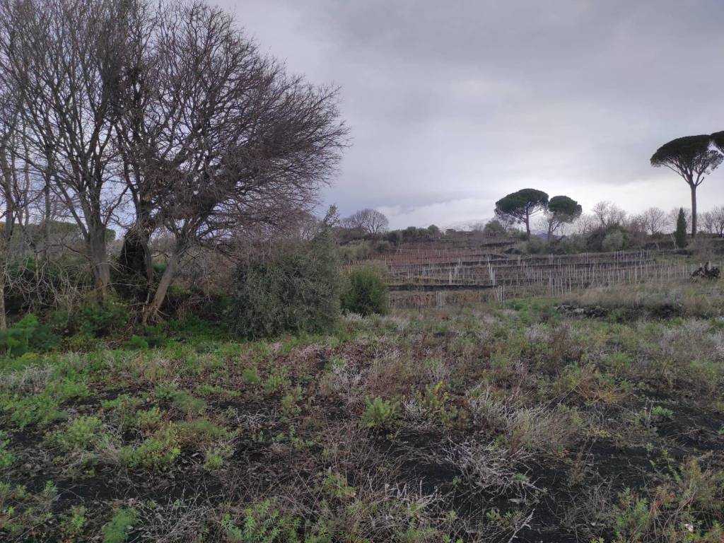 Terreno a Belpasso in Via Regina Elena - Foto 5