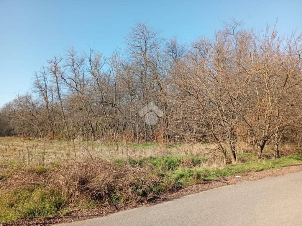 Terreno a Magnago in Via delle Brughiere - Foto 2