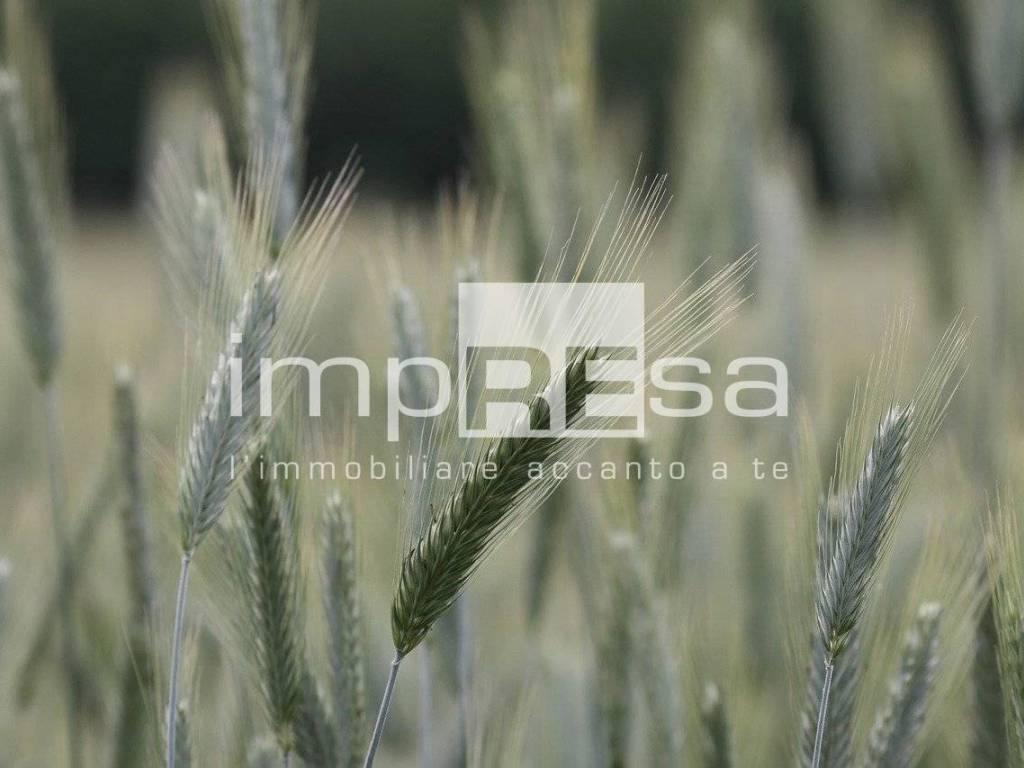 Terreno a Roncade in VIA ERBE - Foto 3