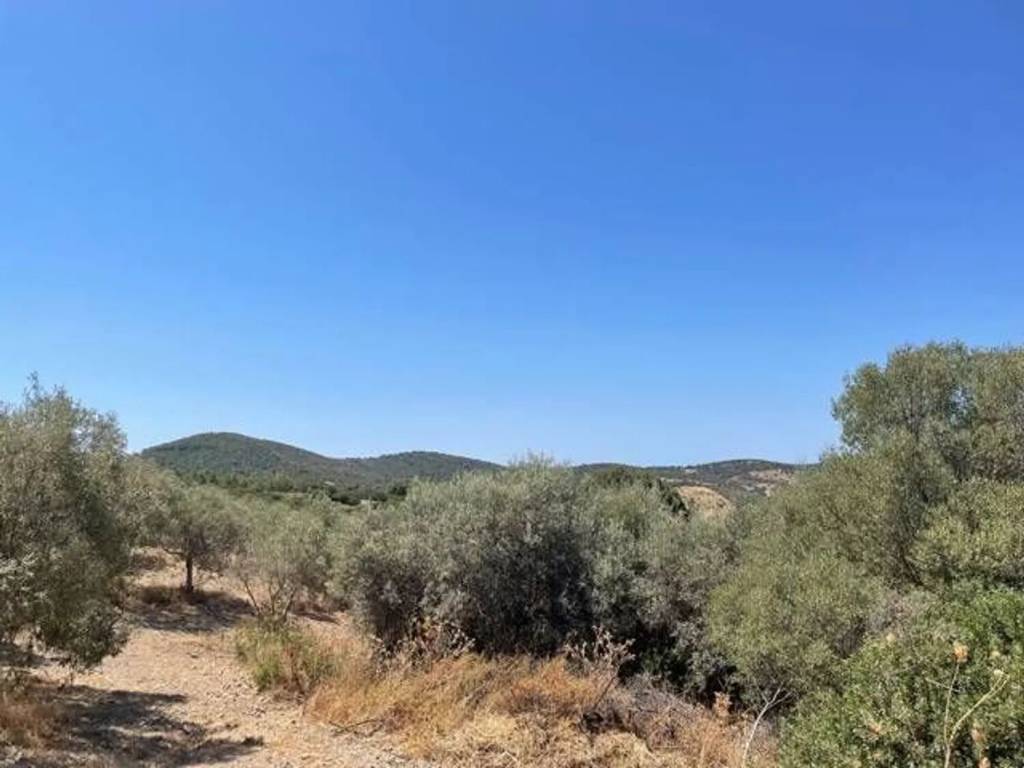 Terreno a Sant'anna arresi - Foto 2