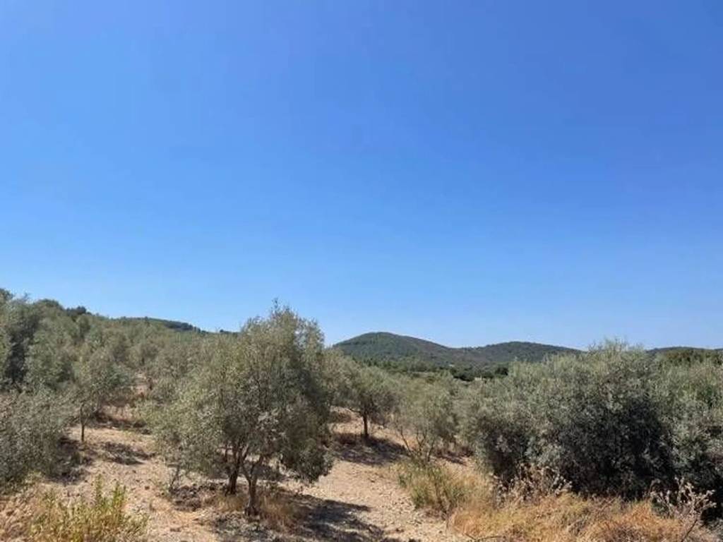 Terreno a Sant'anna arresi - Foto 3