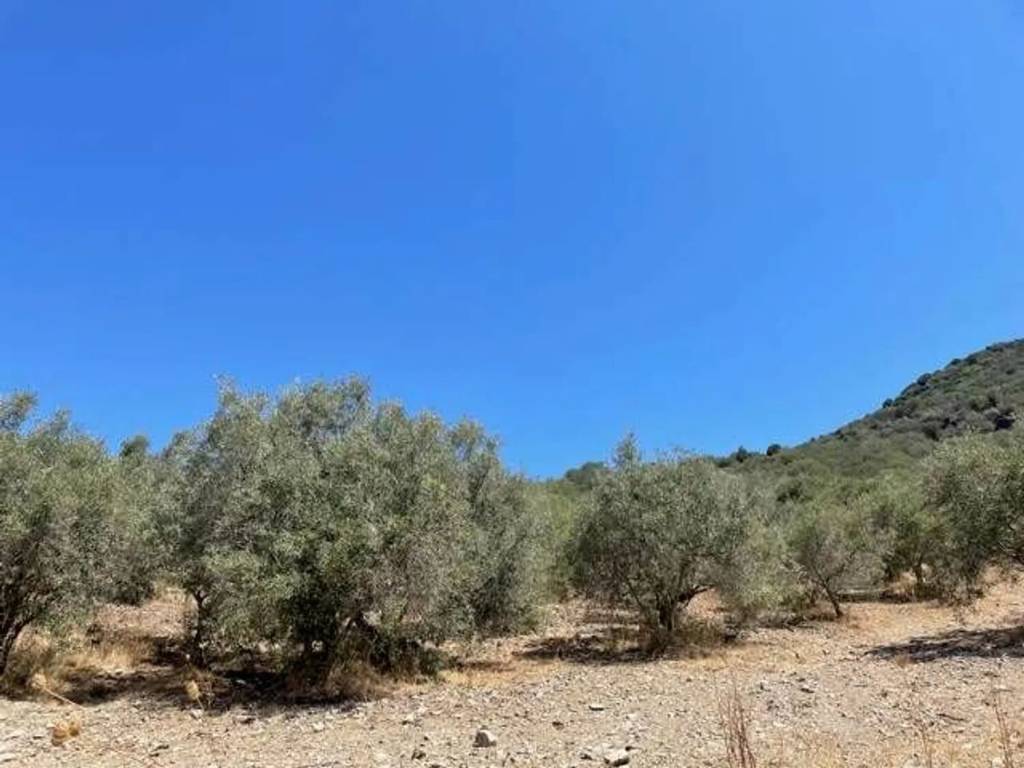 Terreno a Sant'anna arresi - Foto 4