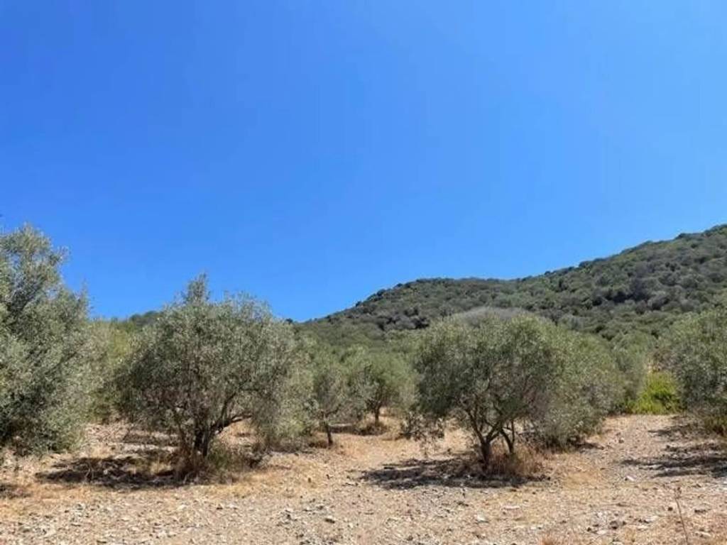 Terreno a Sant'anna arresi - Foto 5