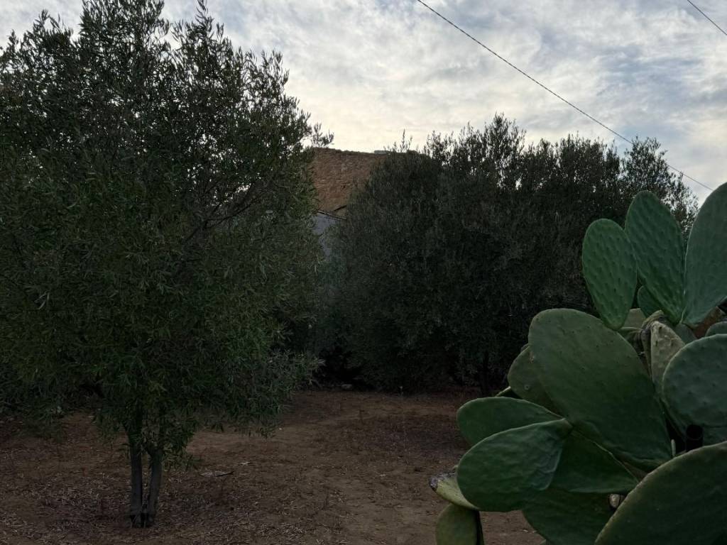 Rustico / casale a Gela in CONTRADA PASSO DI PIAZZA - Foto 3