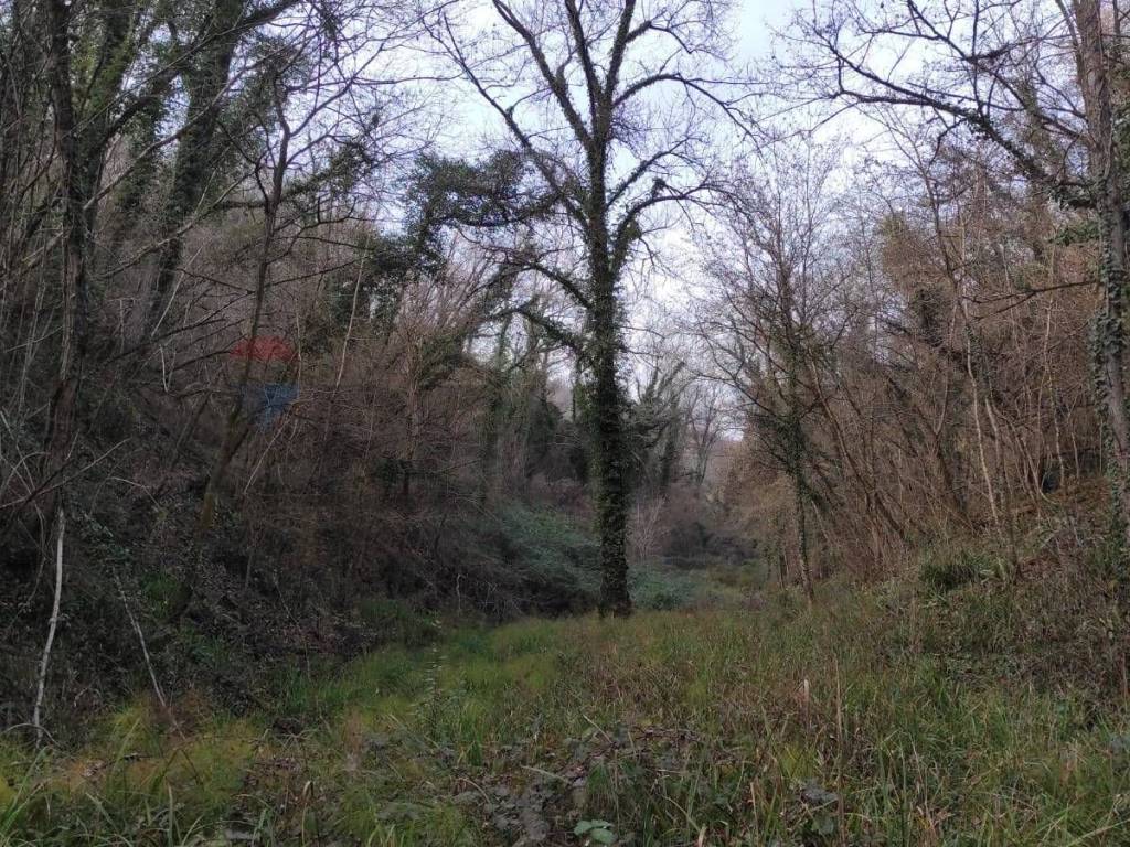 Terreno a Fregona in Località Pont de Fer - Breda - Foto 4