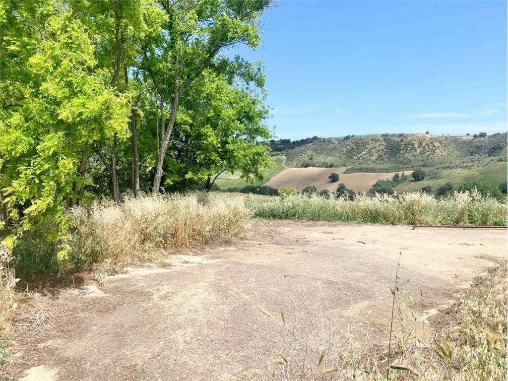 Terreno a Guglionesi in Petriglione, 0 - Foto 5