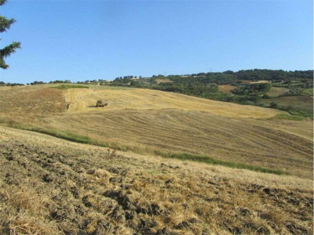 Terreno a Montenero di bisaccia in Colle Sant'Antonio, 0 - Foto 4