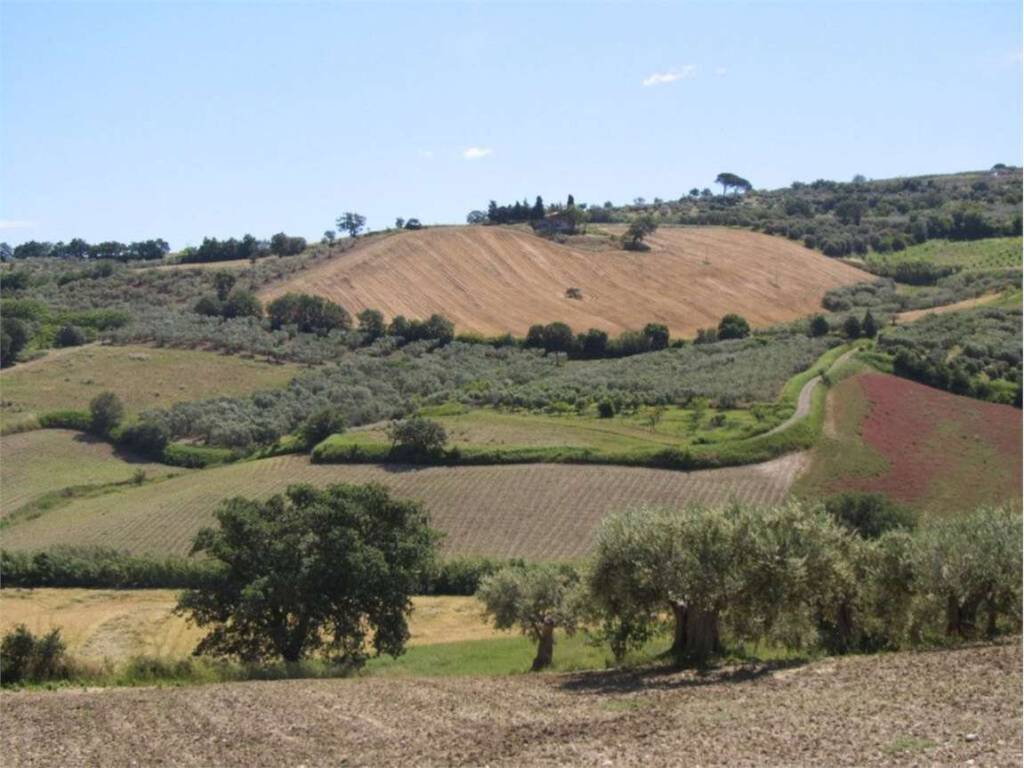 Terreno a Guglionesi in Monte Antico, 0 - Foto 2