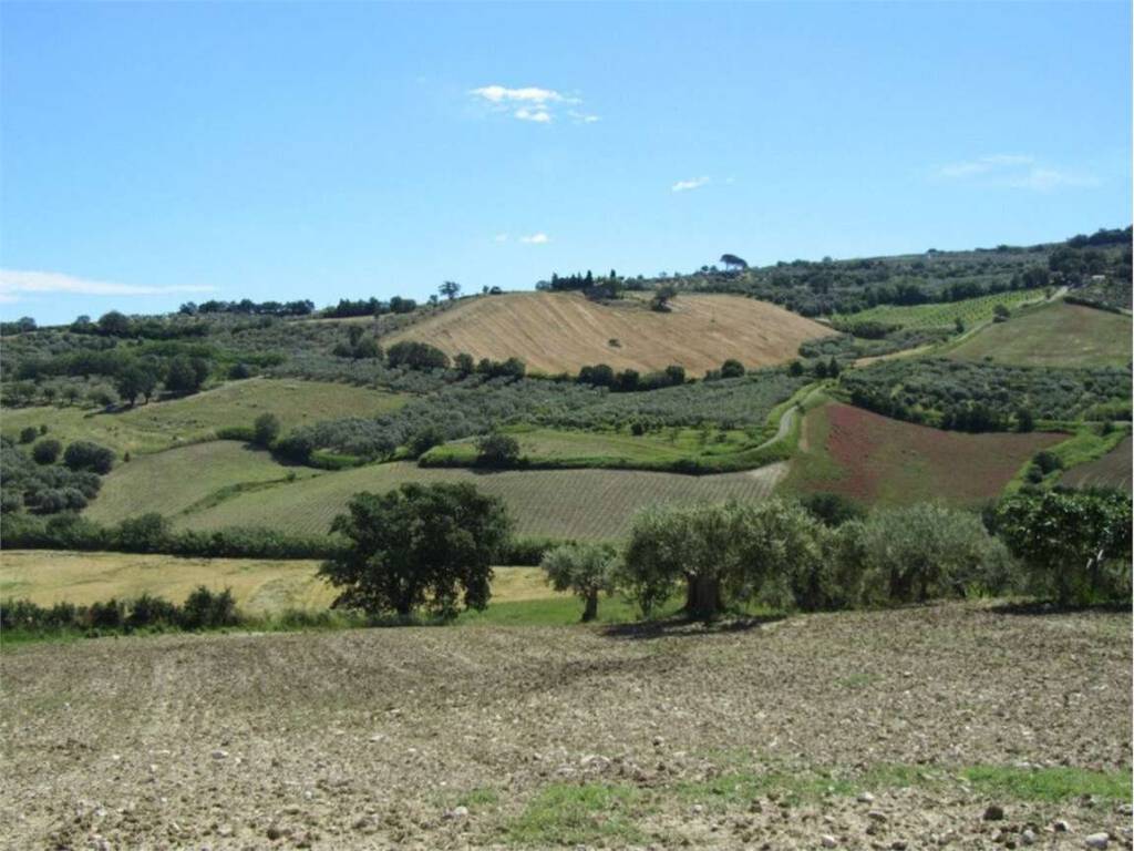 Terreno a Guglionesi in Monte Antico, 0 - Foto 3